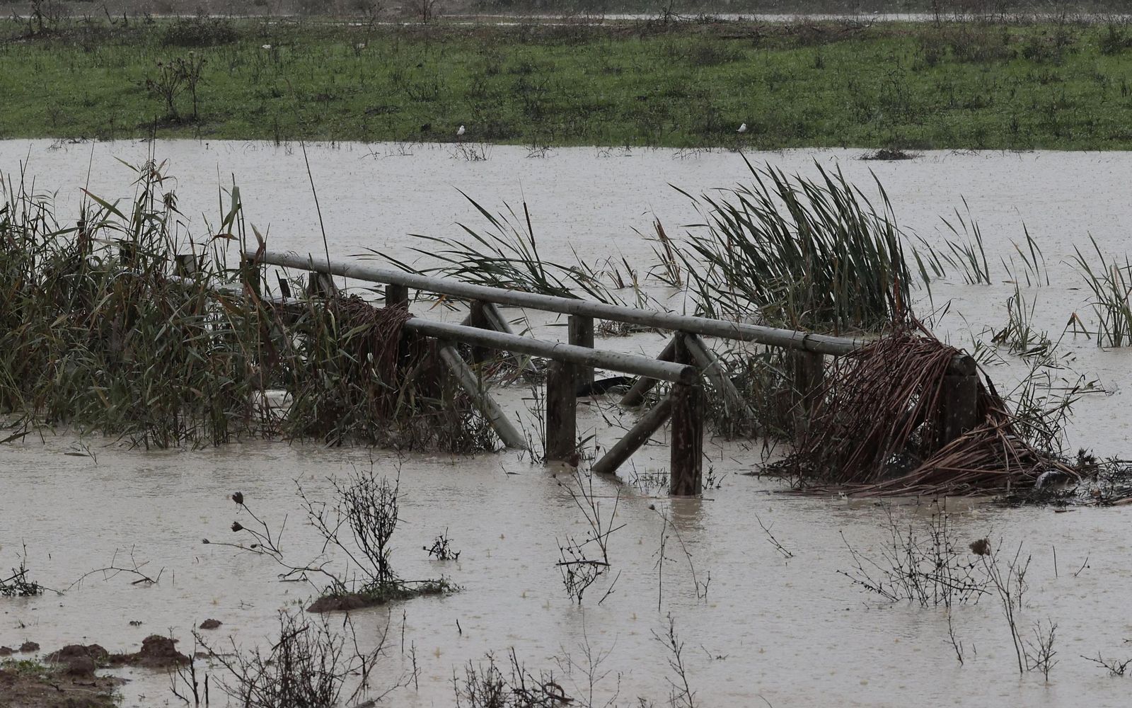 Las imágenes de la crecida del río Guadaíra a su paso por Sevilla