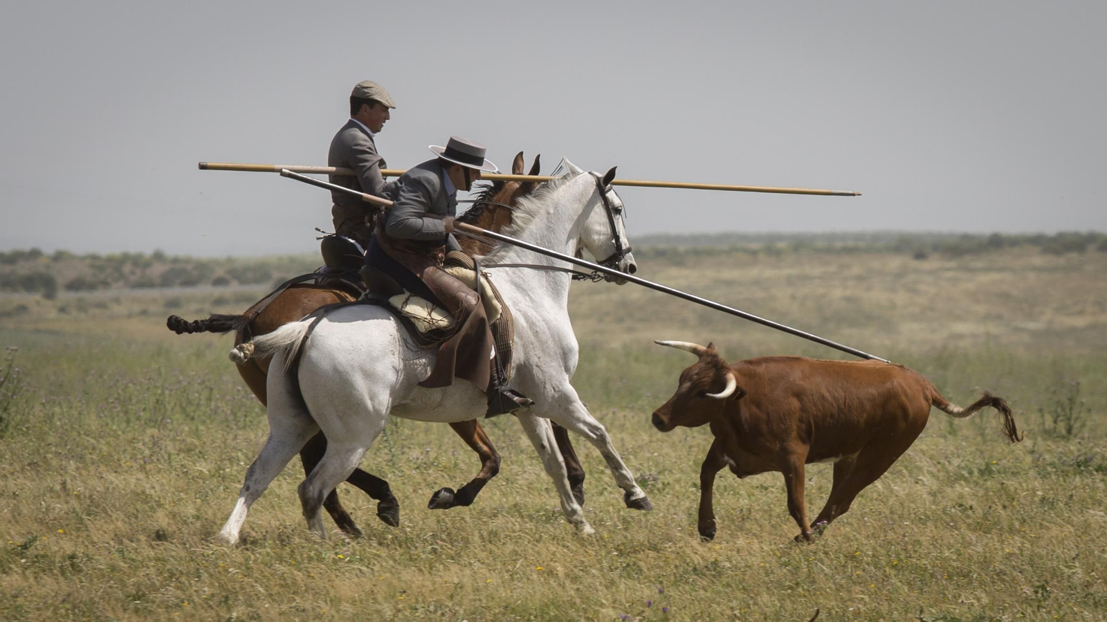 La celebración del 175 aniversario de la ganadería Miura, en imágenes