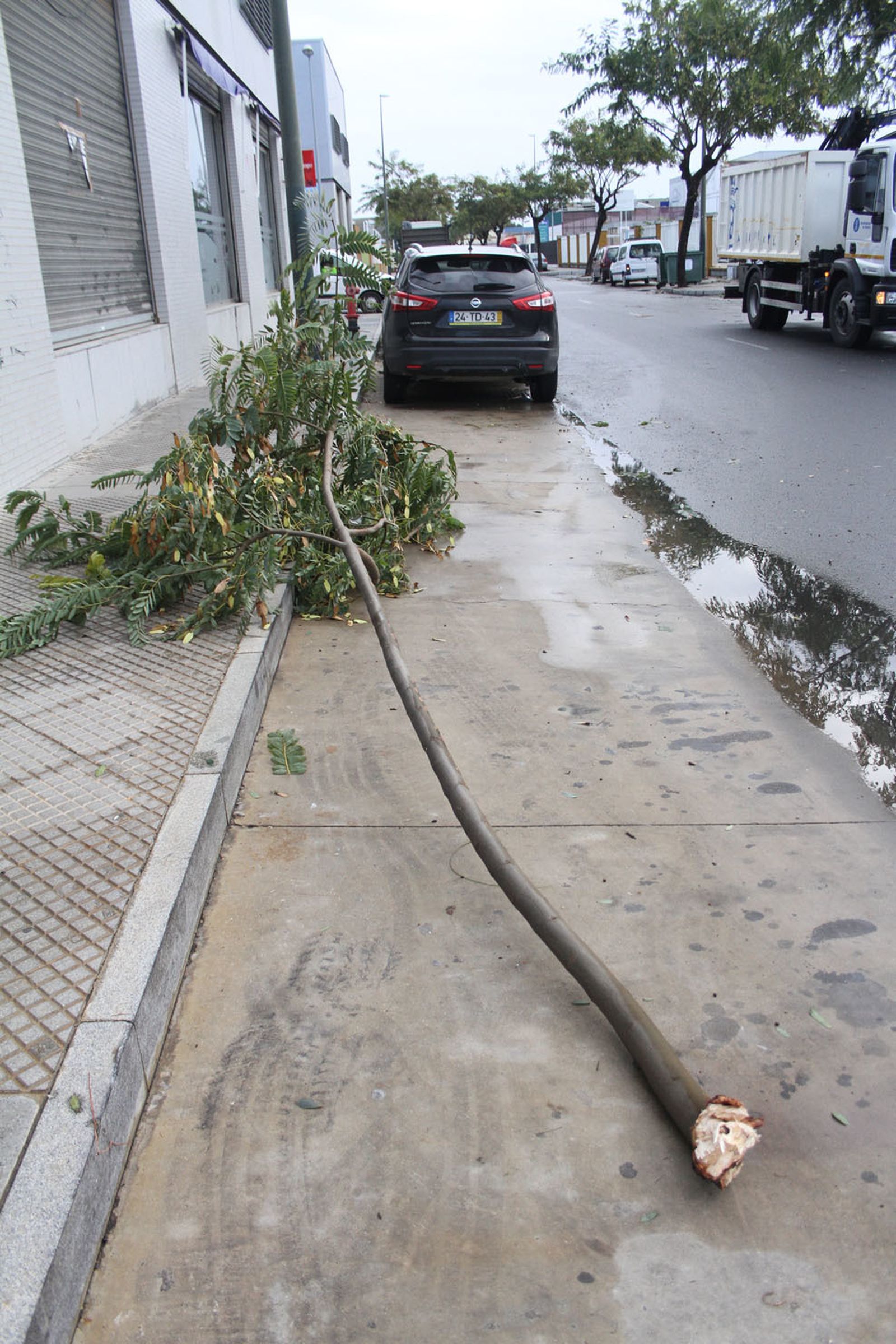 Consecuencias del temporal de lluvia y viento a su paso por la capital