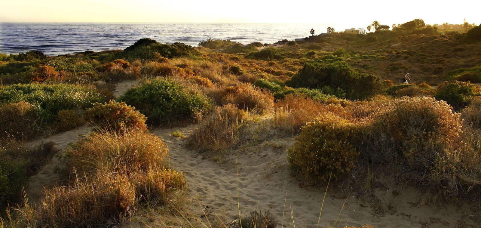 Las dunas de Cabopino están consideradas Monumento Nacional.