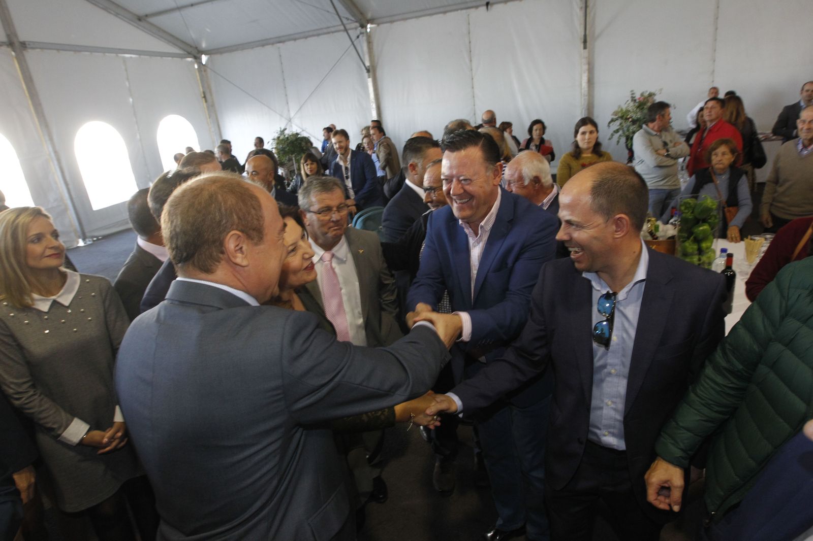 Fotogalería nuevas instalaciones Vicasol 3 en El Ejido