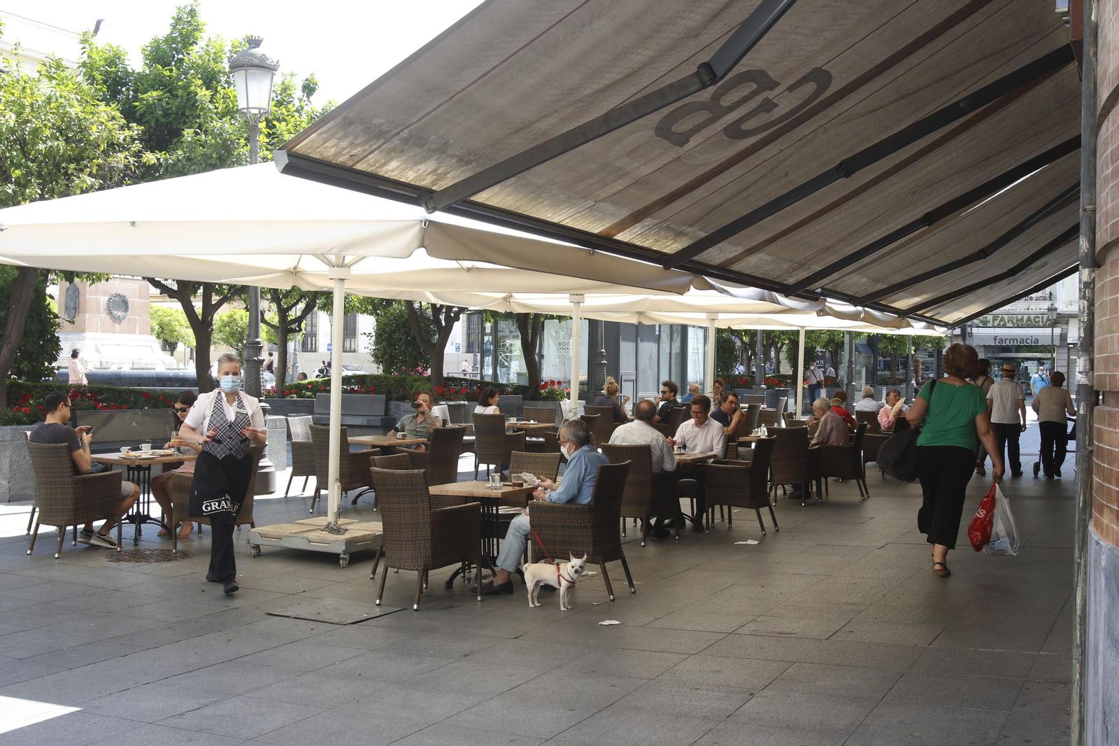 Terraza de un restaurante en la plaza de las Tendillas de Córdoba capital.