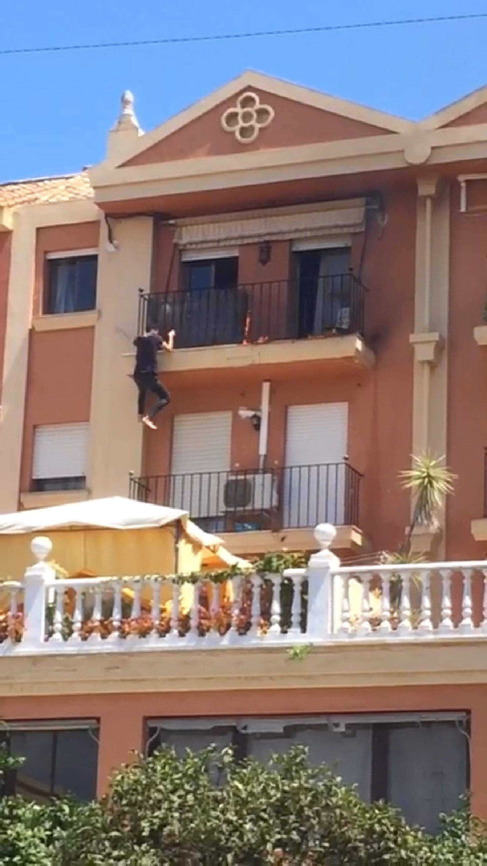 Las virales del año