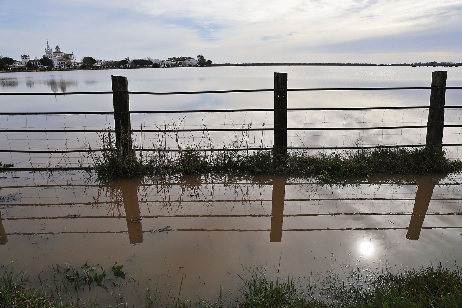 El estado de las marismas del Rocío tras el paso de la borrasca Marta