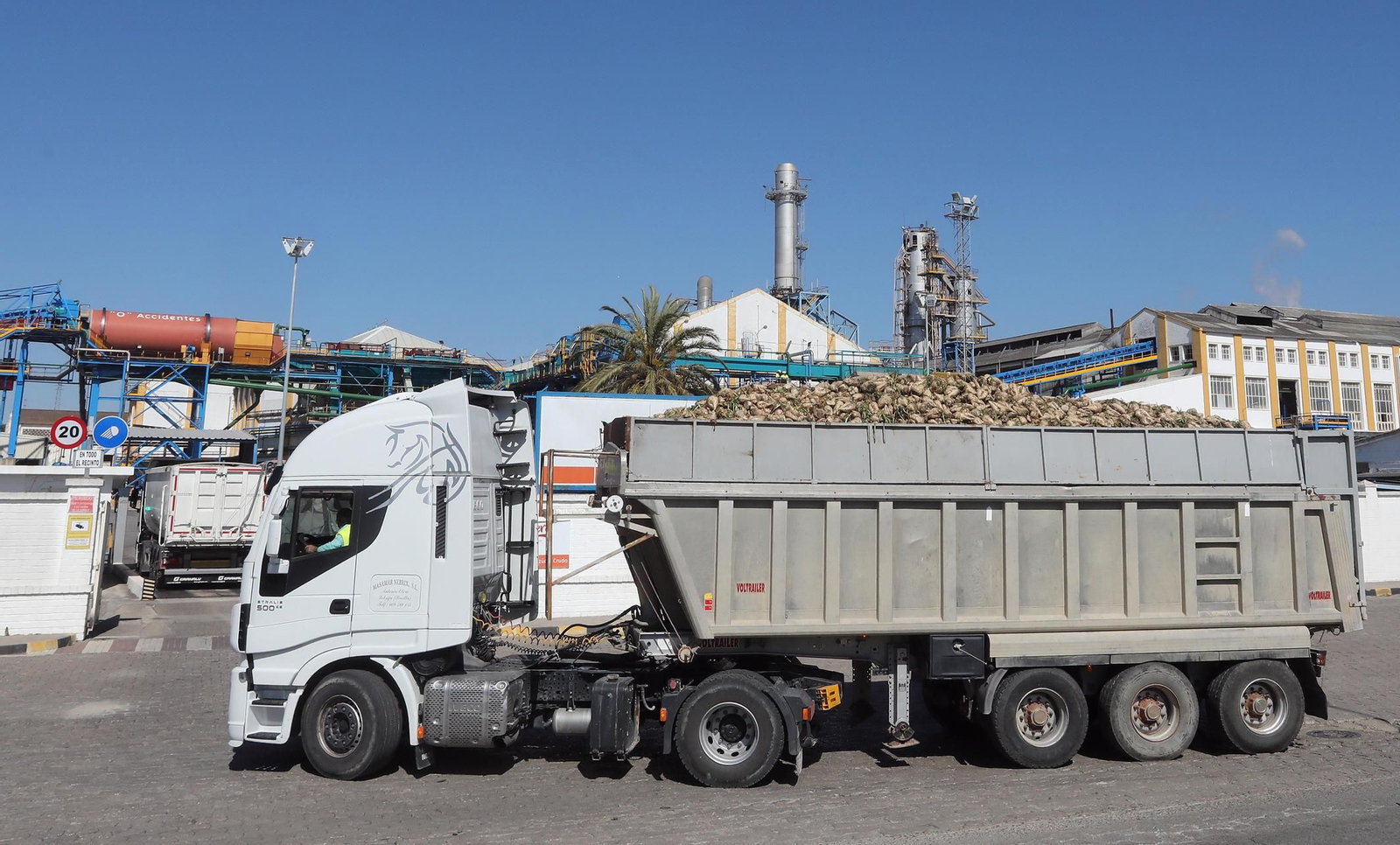 Un camión de remolacha se dispone ayer a entrar en la fábrica del Guadalete para hacer entrega de la carga.