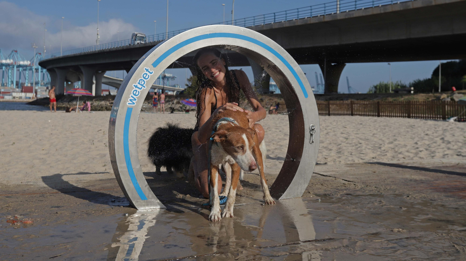 Fotos de la  la nueva zona de merendero y la playa canina en La Concha