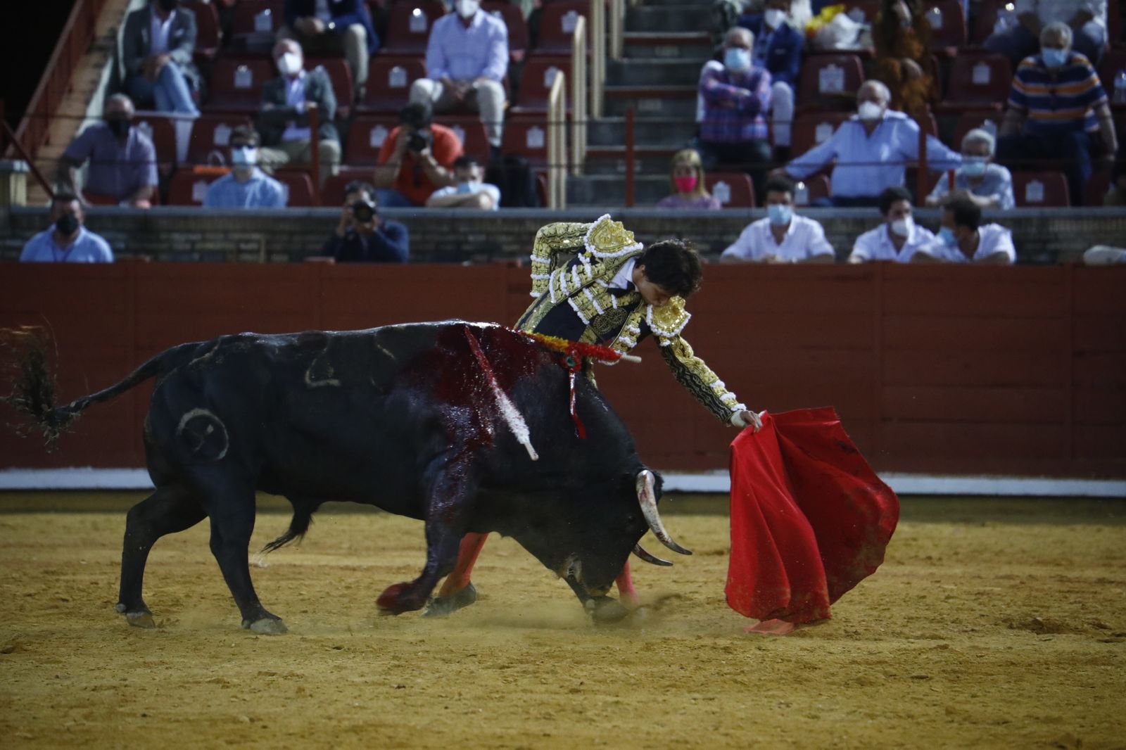 Las fotografías de la corrida mixta de la Feria Taurina de Córdoba con Roca Rey, Aguado y Ventura