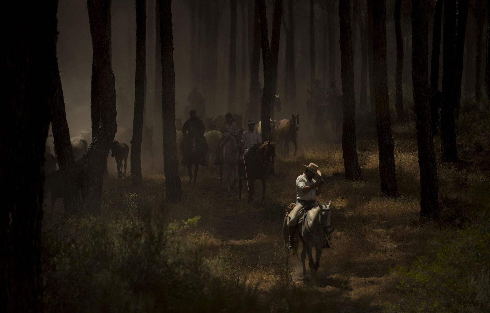 La Saca de las Yeguas, en imágenes