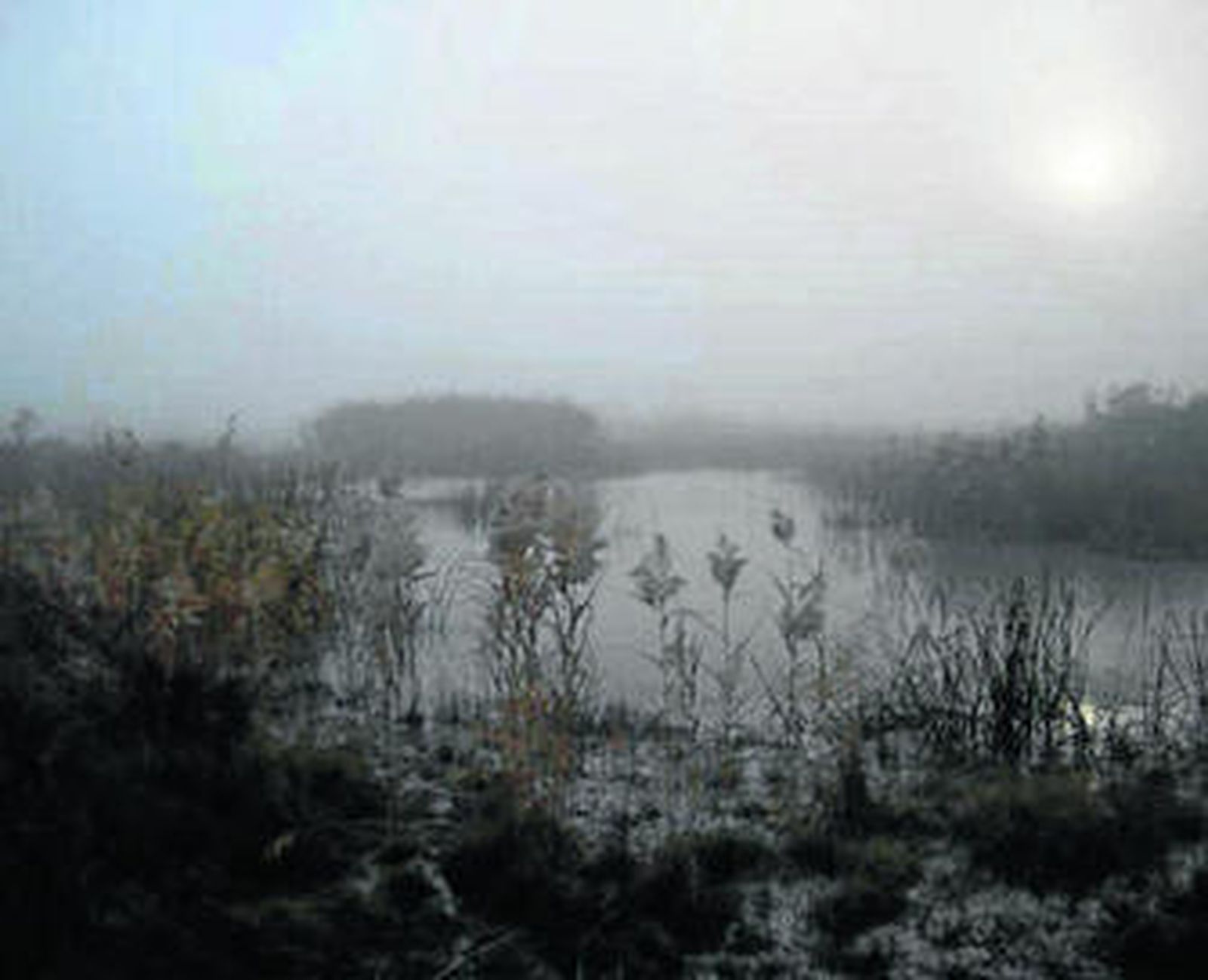 Imagen de la Laguna Primera, de Palos de la Frontera, junto a la factoría de Cepsa.