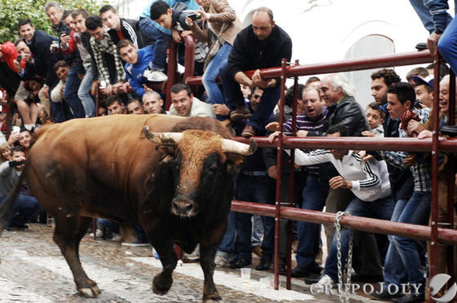Arcos

Foto: Ramón Aguilar