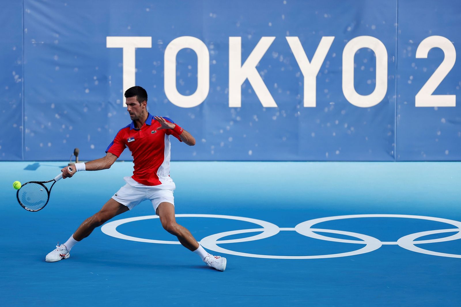 Las fotos del Davidovich-Djokovic