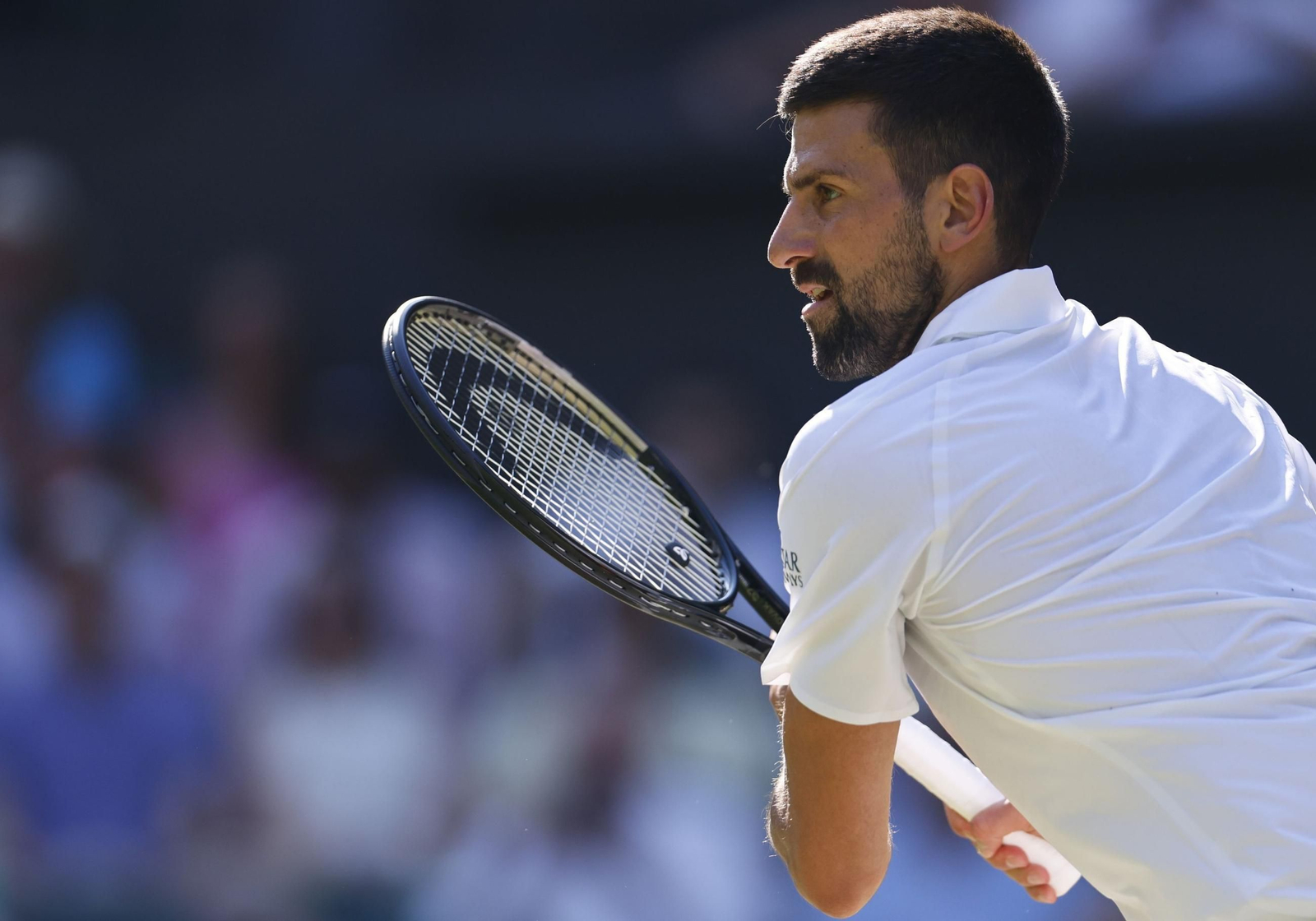 Las mejores imágenes del Sinner - Djokovic Las mejores imágenes del Sinner - Djokovic