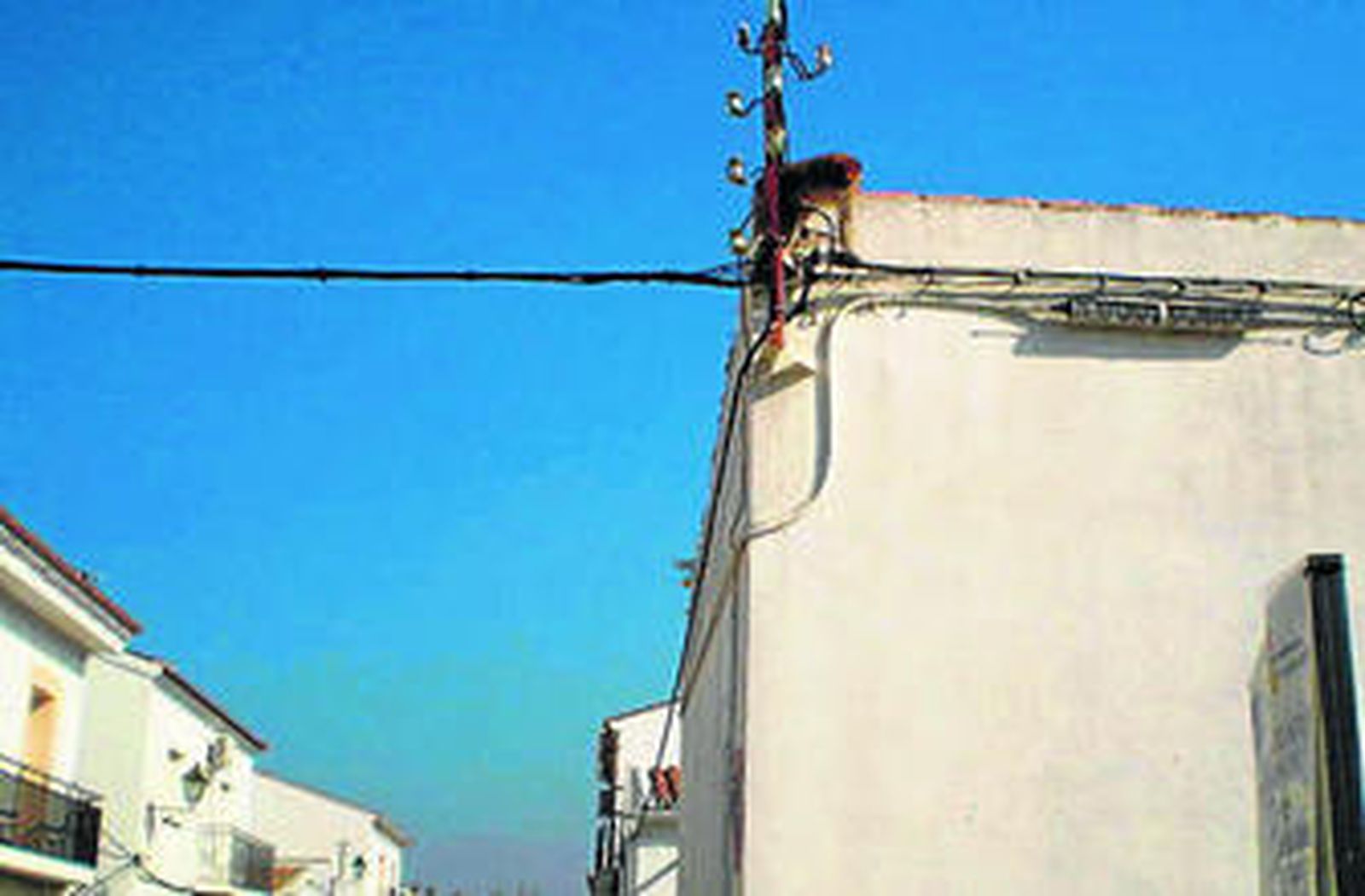 El animal, subido en uno de los tejados de una casa de La Guijarrosa.