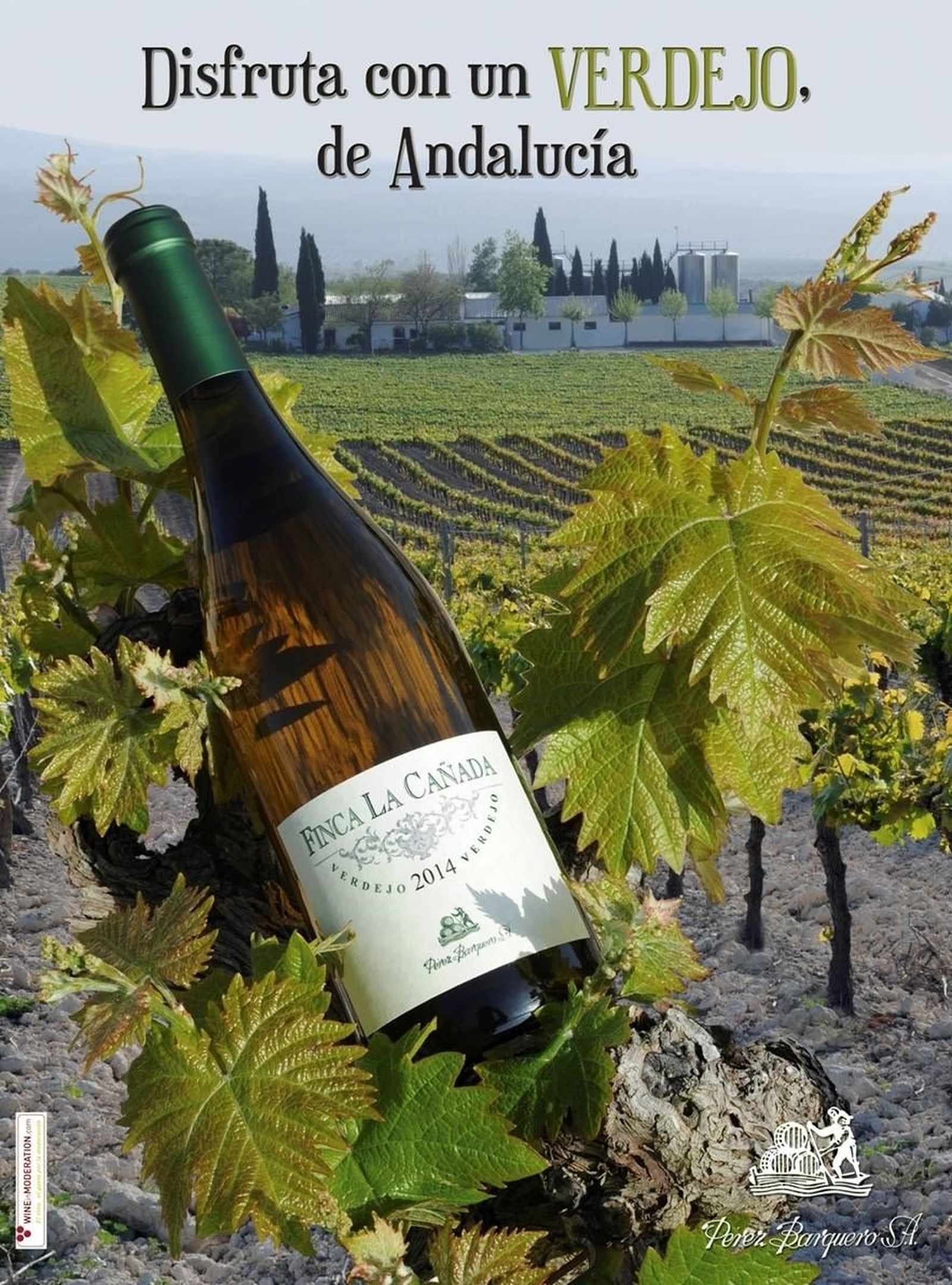 Ponga la mente en blanco