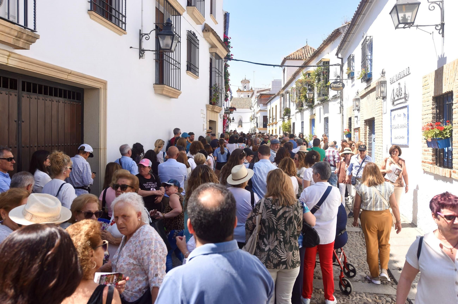 El último sábado de Patios de Córdoba en Alcázar Viejo, en imágenes