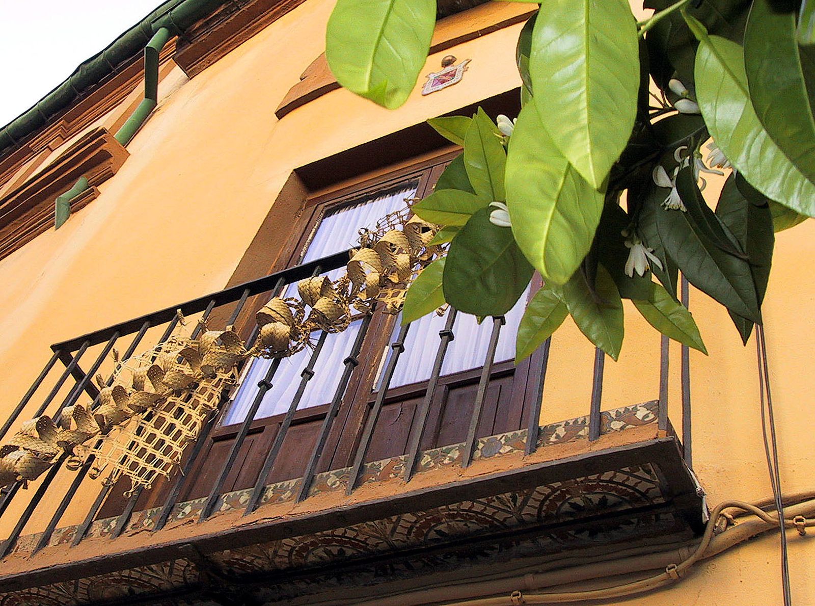Fachada de una casa del centro de Sevilla, adornada con la palma rizada.