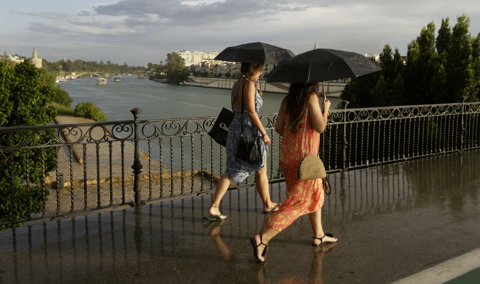 Las imágenes de la lluvia en Sevilla