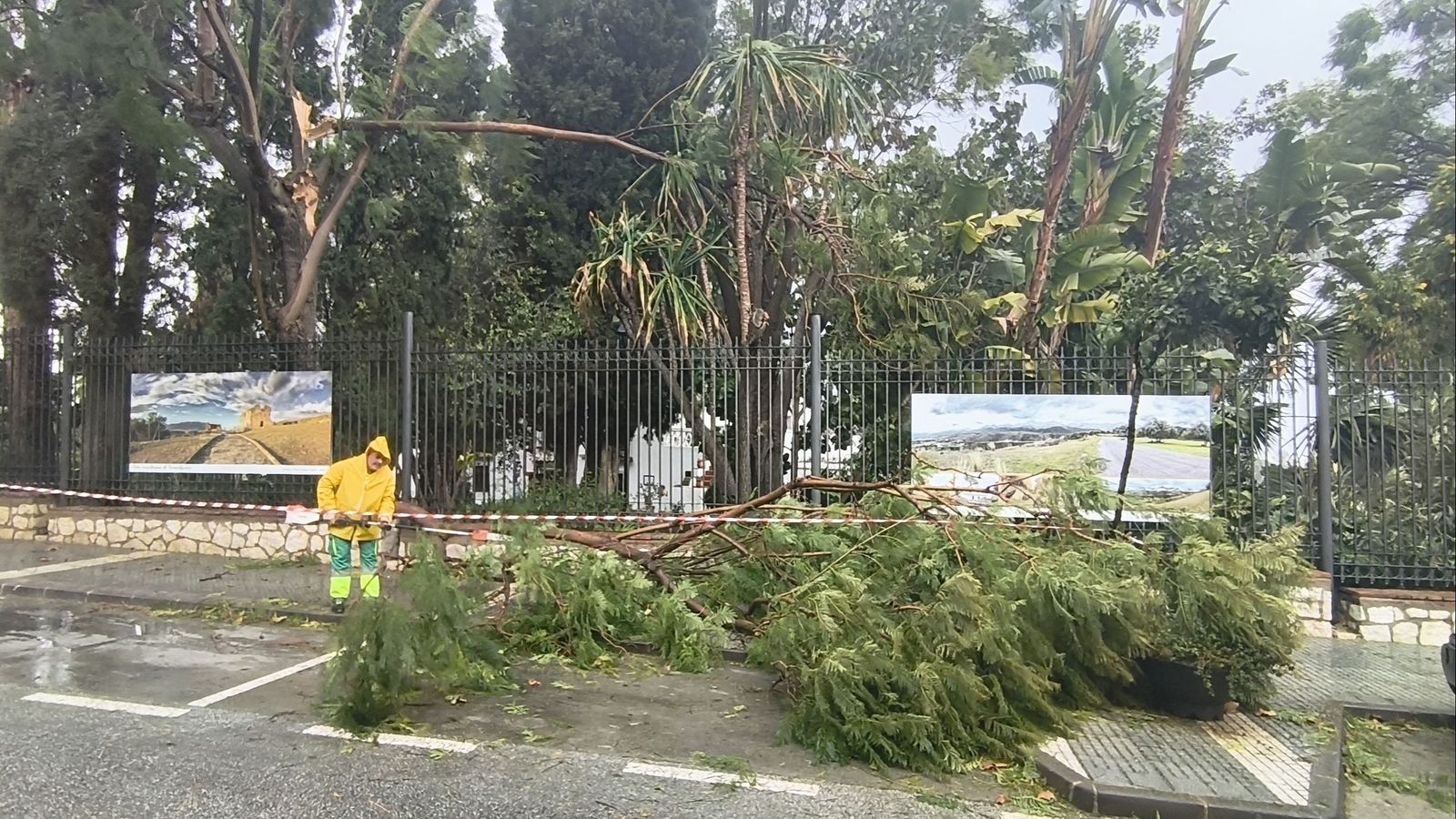 Ramas caídas sobre la calzada en Alhaurín de la Torre.