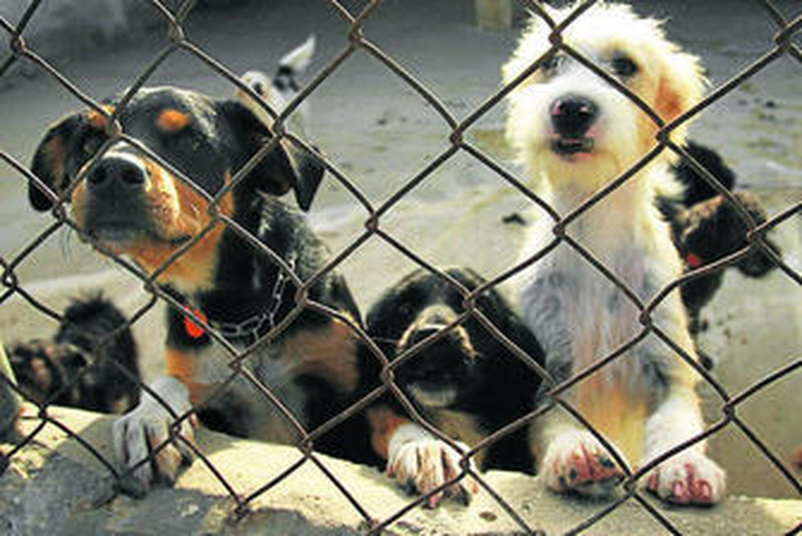 Oferta variada para disfrutar en familia