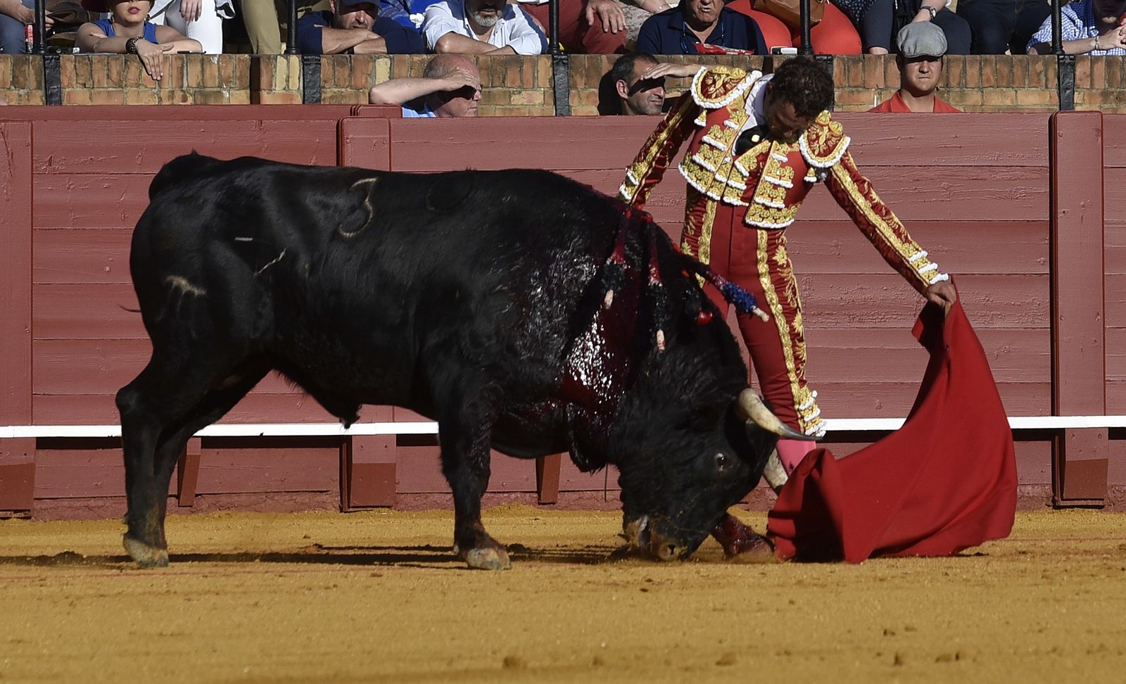 Las imágenes de la 13ª corrida de abono de La Maestranza