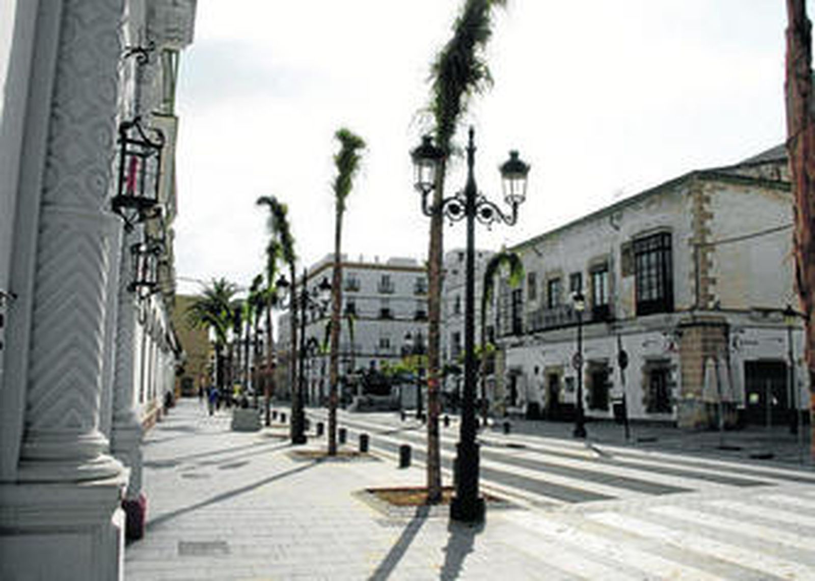 Las nuevas palmeras de Micaela Aramburu ya están plantadas en la totalidad de la avenida.