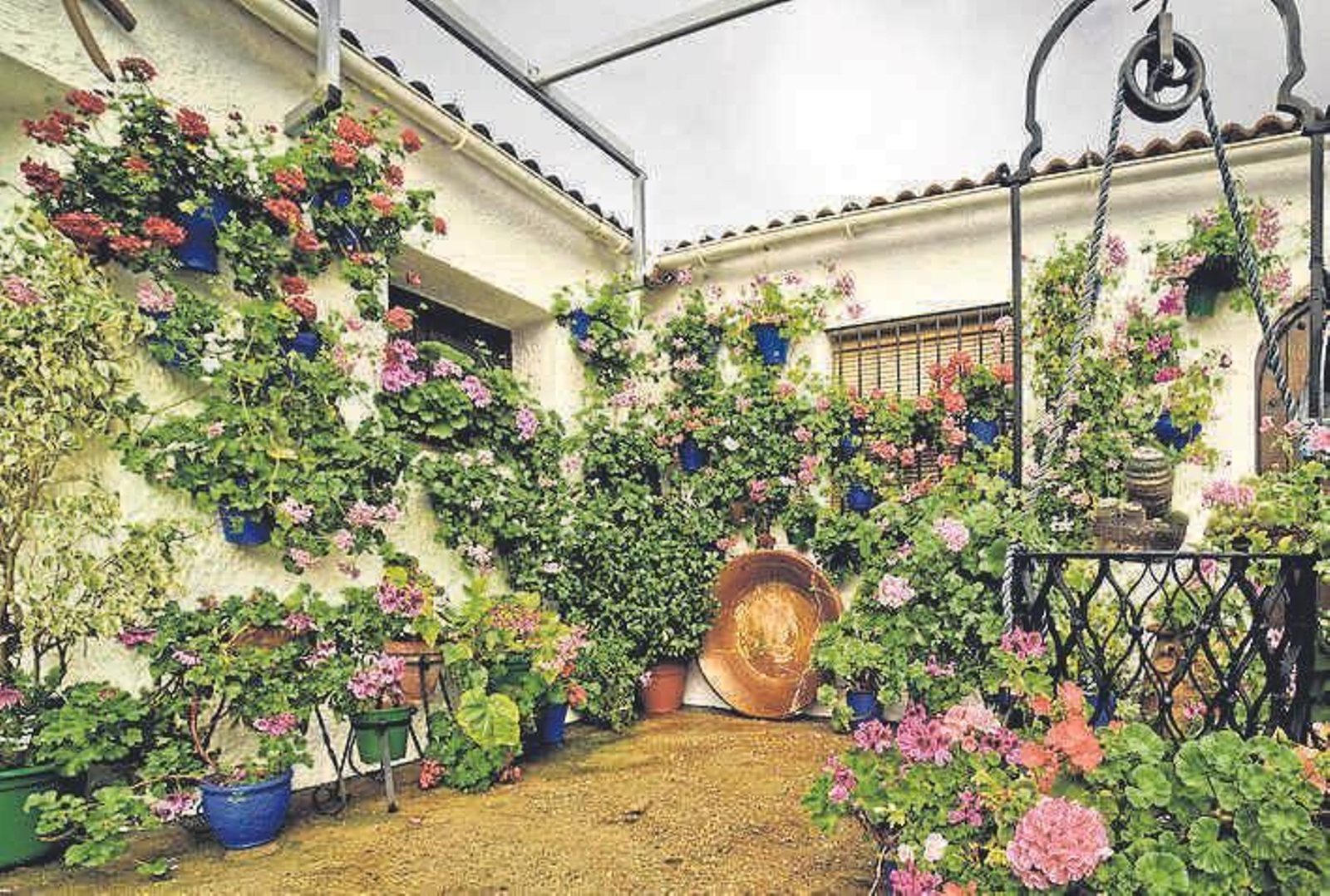 Rejas, Patios y Rincones de la Vega del Guadalquivir: Hornachuelos y La Carlota Rejas, Patios y Rincones de la Vega del Guadalquivir: Hornachuelos y La Carlota