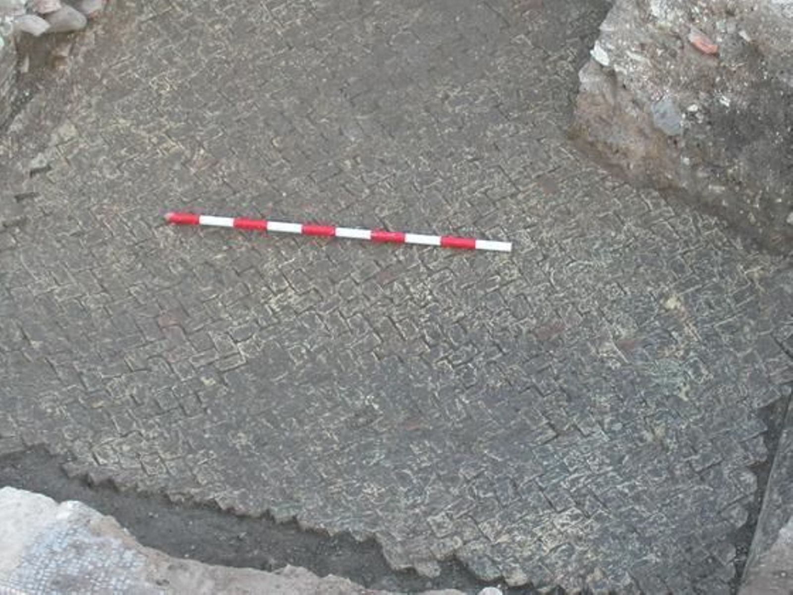 Restos arqueológicos de la Factoría de Salazones.

Foto: Diario de Sevilla