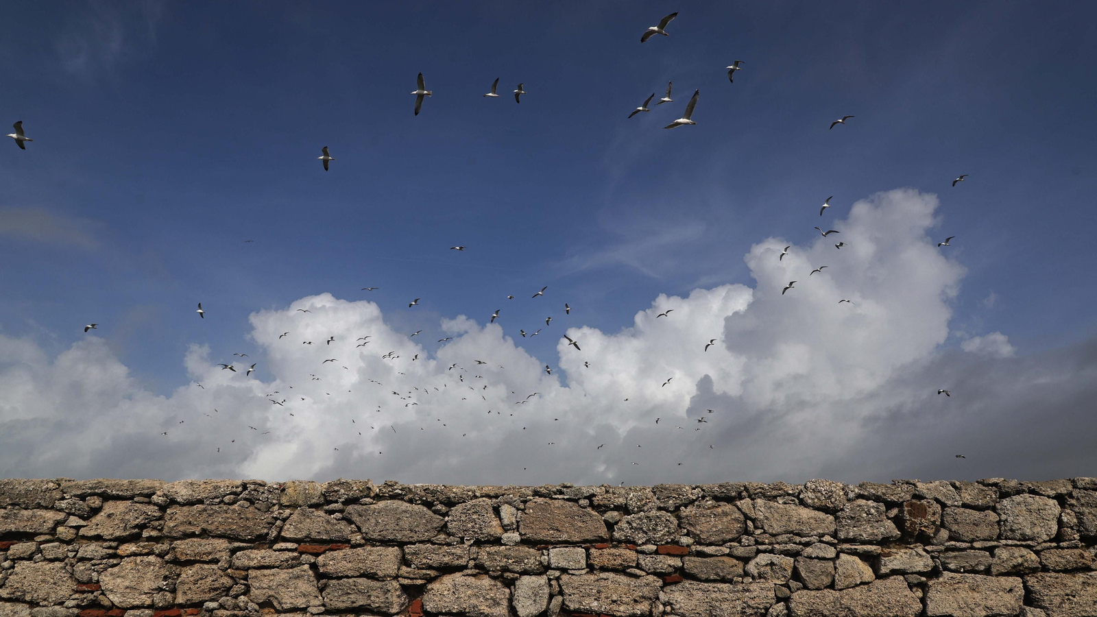 Fotos de la Isla de Las Palomas en Tarifa