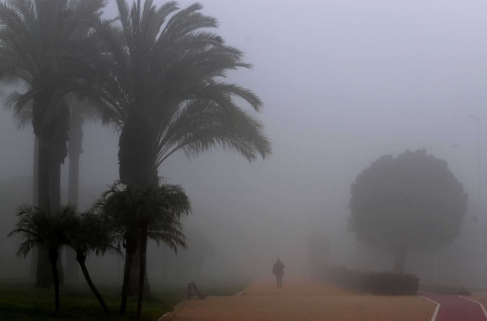 Las imágenes más impresionantes de la niebla en Huelva