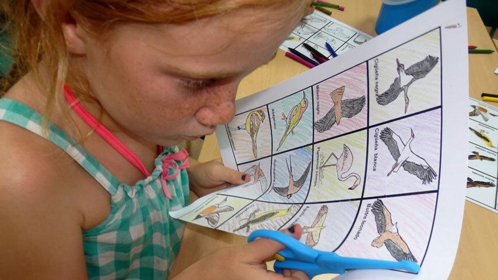 Una niña aprende sobre aves migratorias en el Observatorio del Estrecho.
