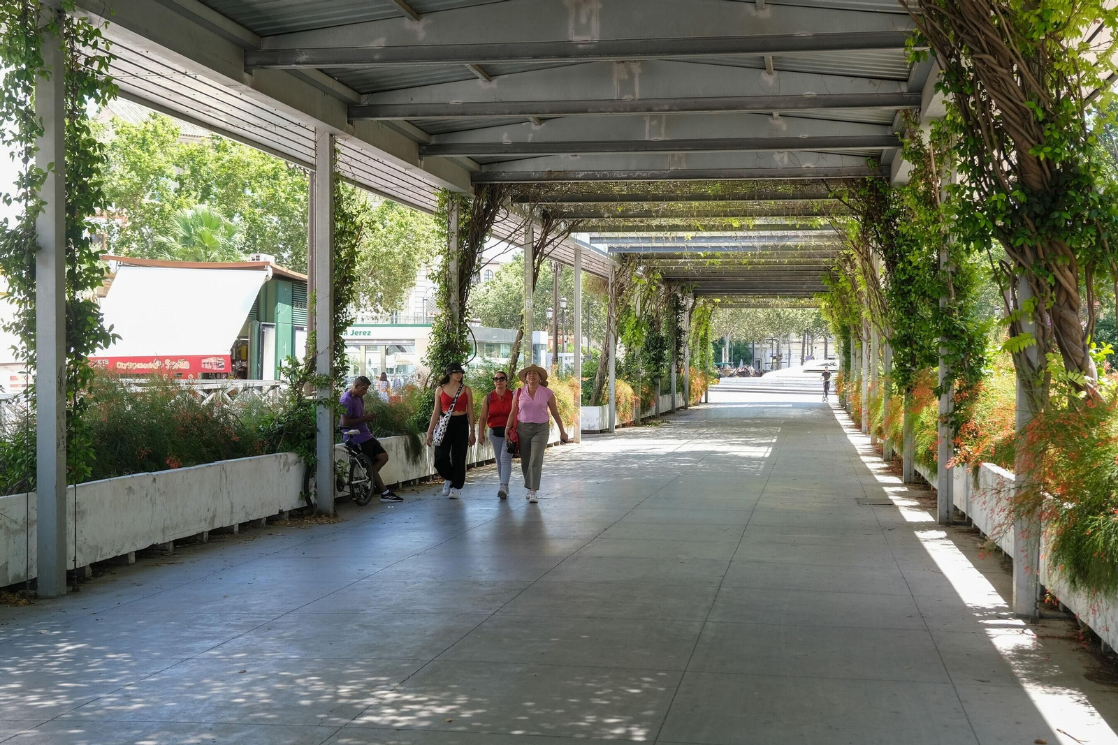 Parte inferior de una de las pérgolas cubierta de vegetación.