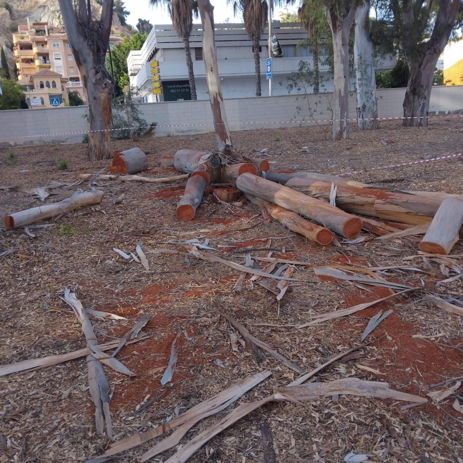 Una de las imágenes recogidas por vecinos este miércoles en los Baños del Carmen