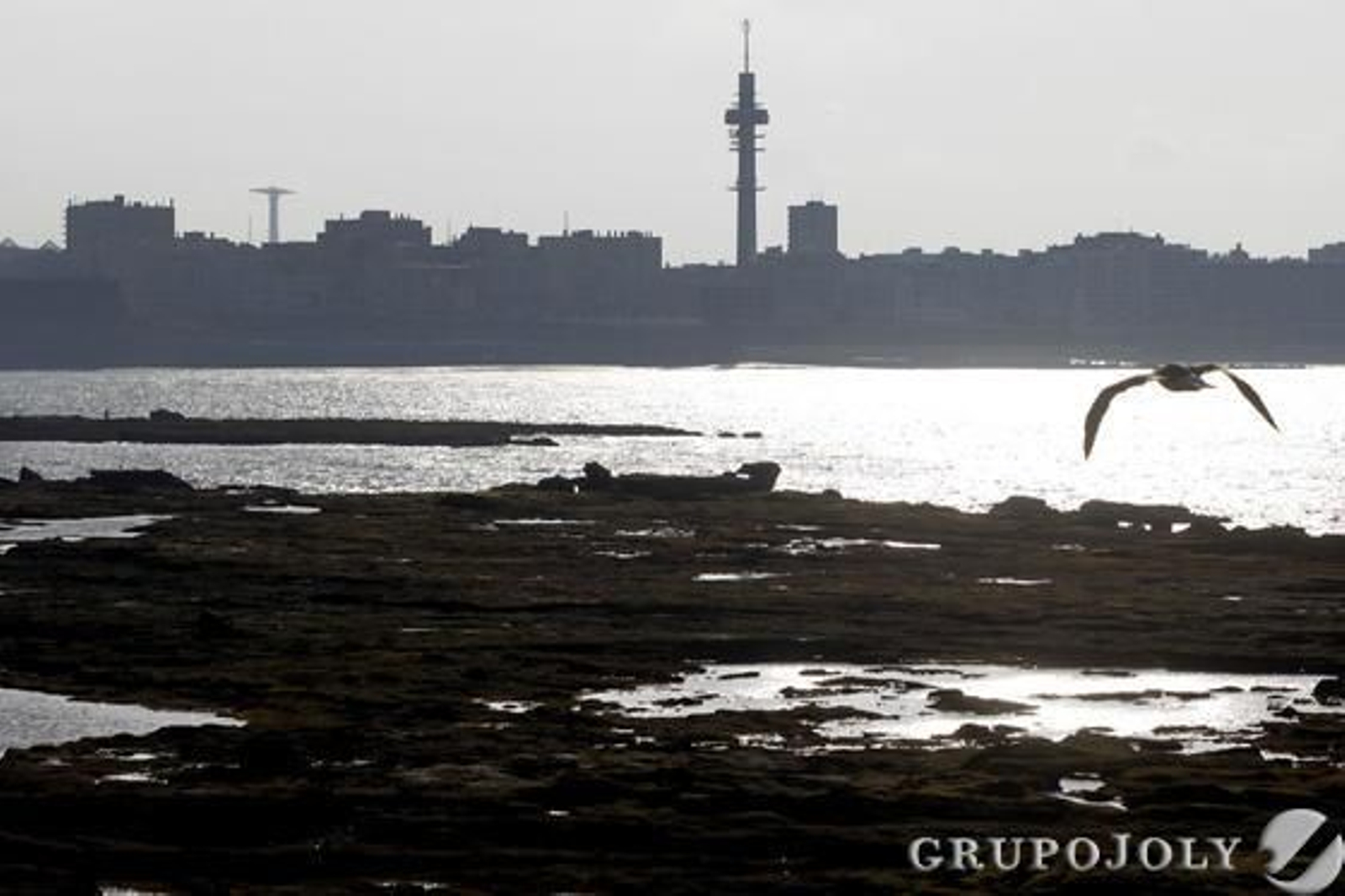 Imágenes del momento de una espectacular bajamar en las playas de Cádiz.

Foto: Jesus Marin