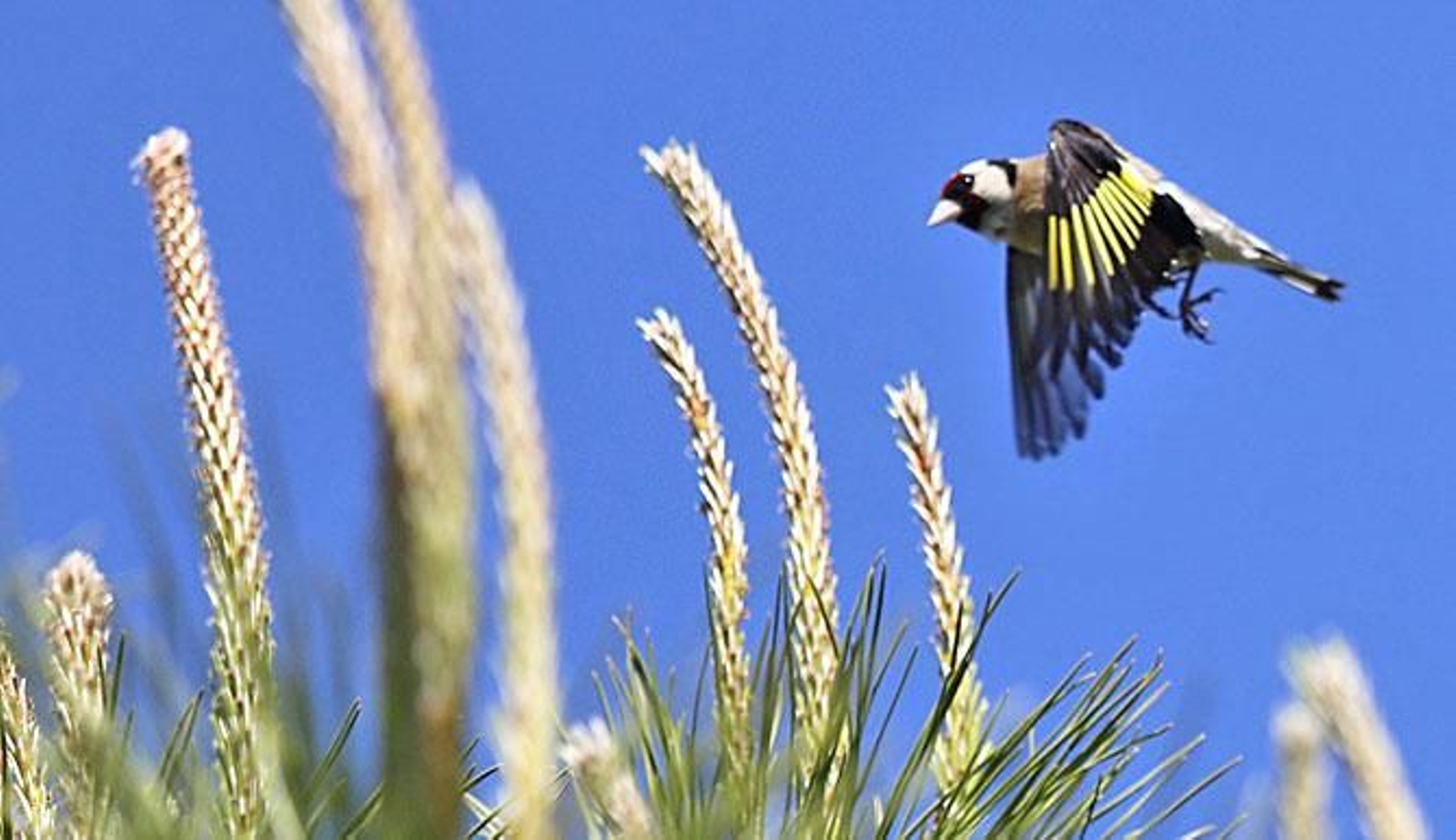 Las imágenes más destacadas del jueves 13 de mayo en Huelva