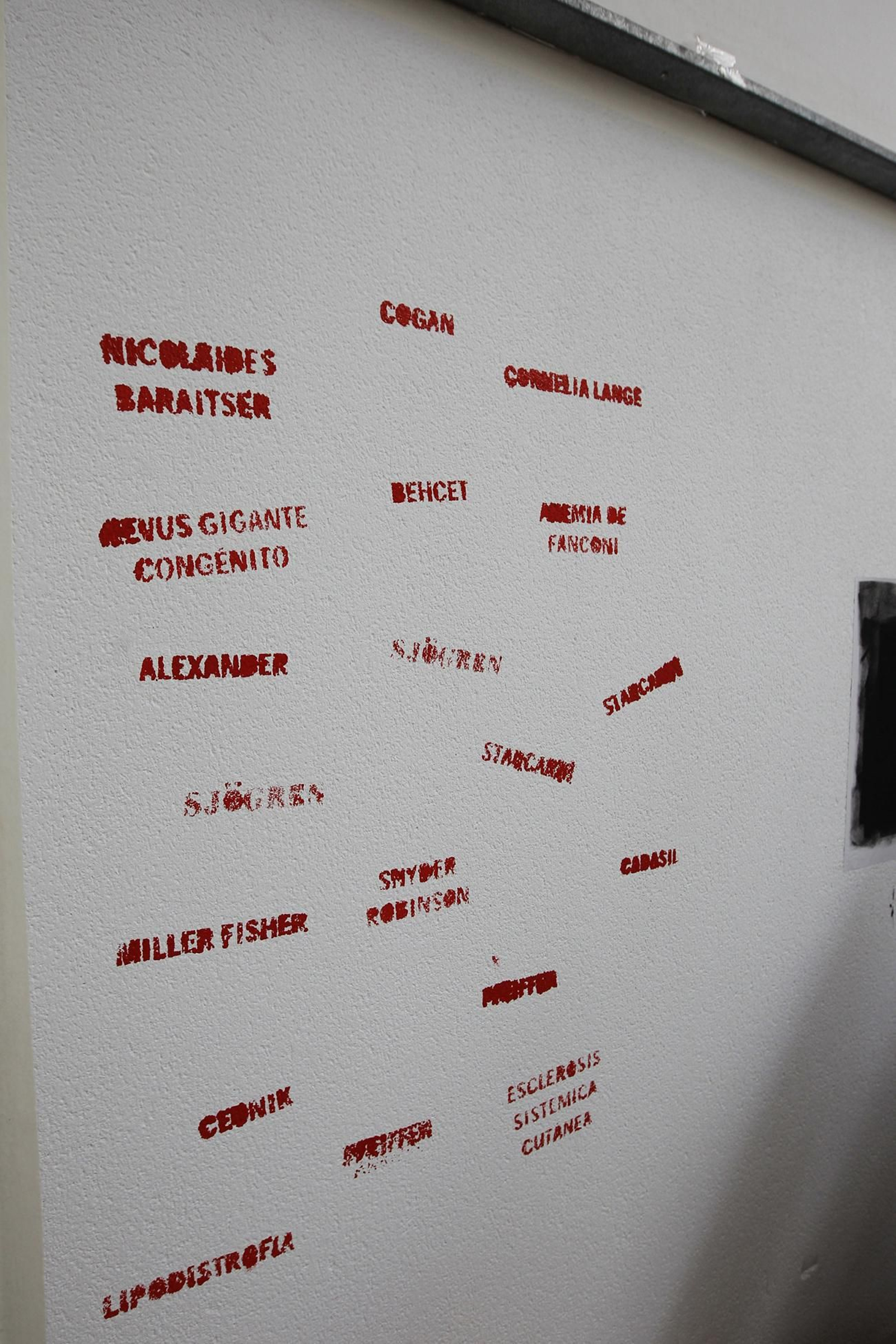 Fotos mural reivindicativo enfermedades raras Universidad de Almería-UAL