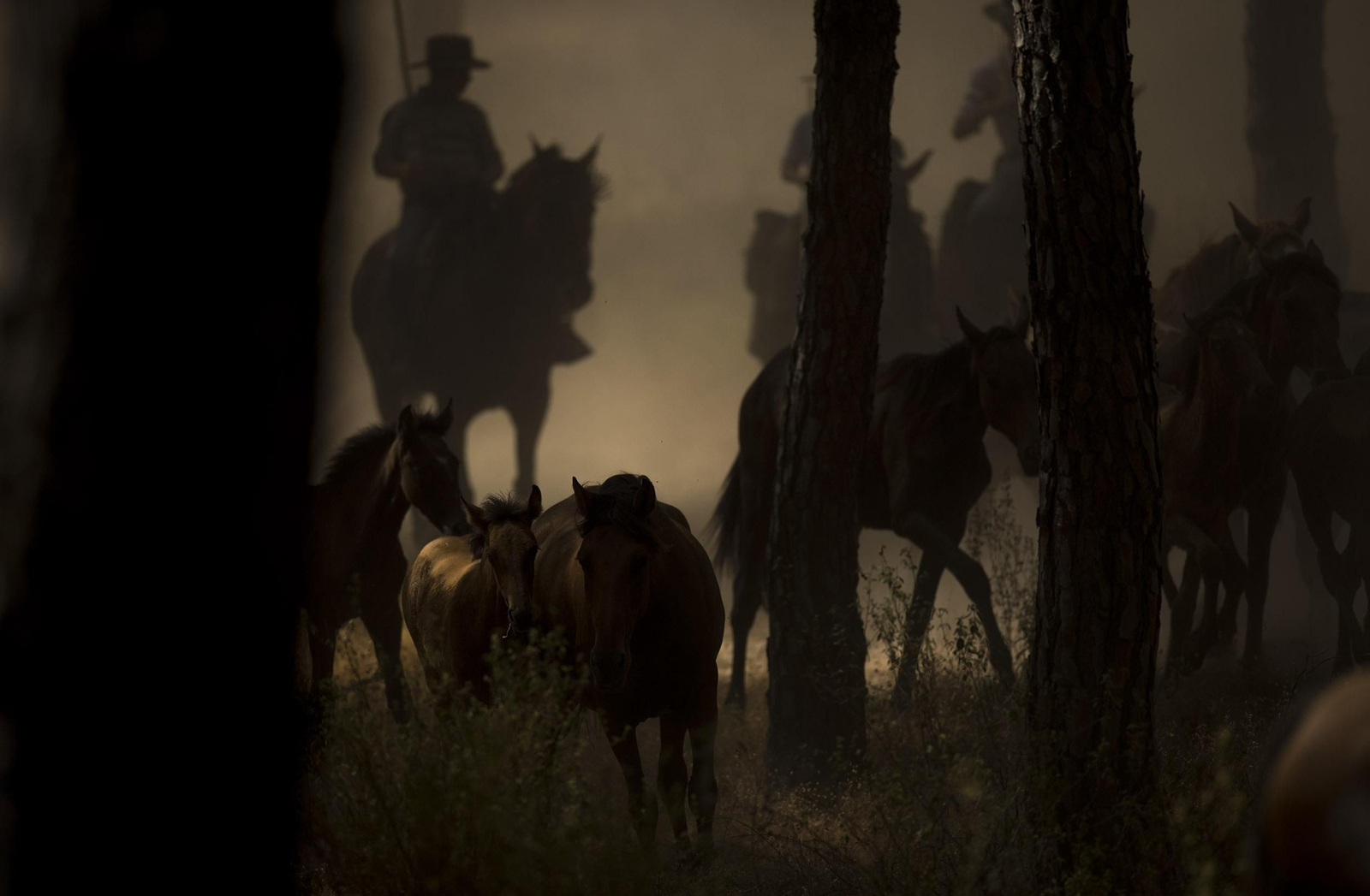 La Saca de las Yeguas, en imágenes