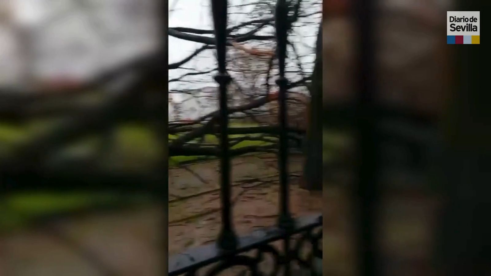 La borrasca Leonardo irrumpe con fuertes vientos en Mairena del Aljarafe