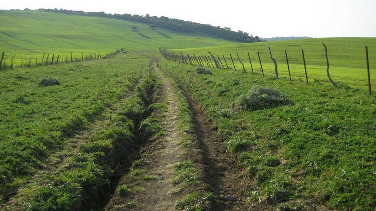 Paisaje de la ruta Cordel de los Marchantes