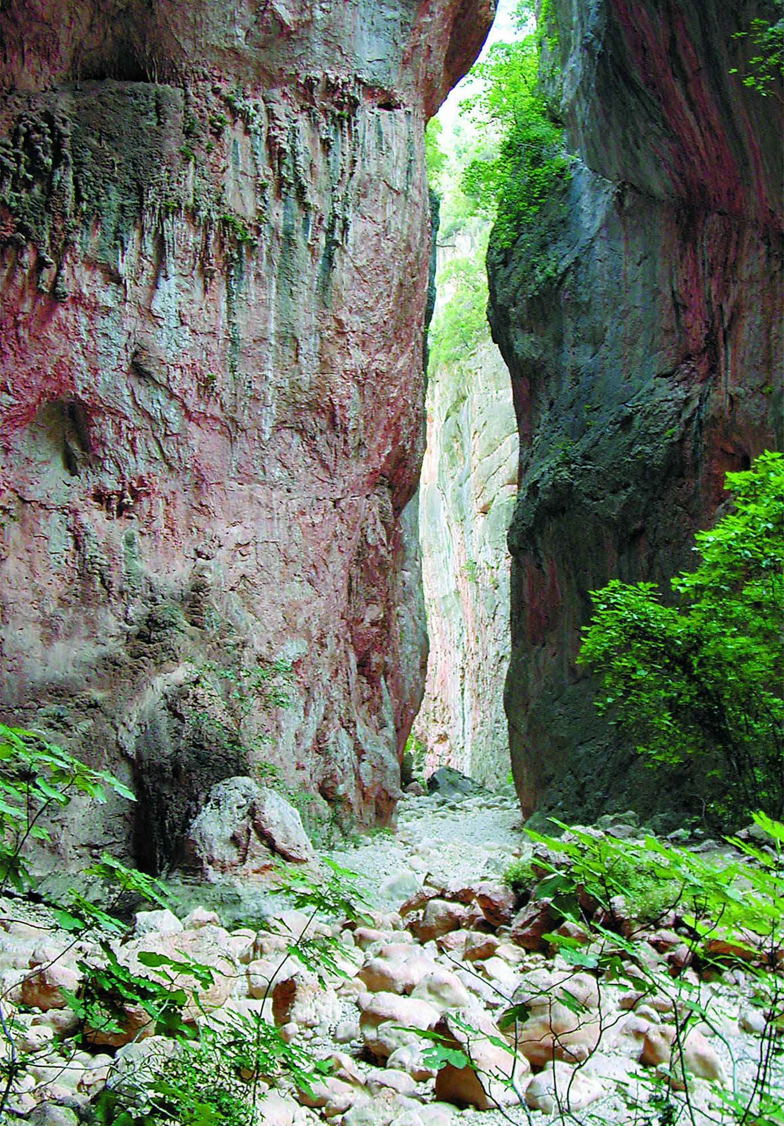 Imagen de la Garganta Verde, uno de los emblemas del Parque Natural de Los Alcornocales.