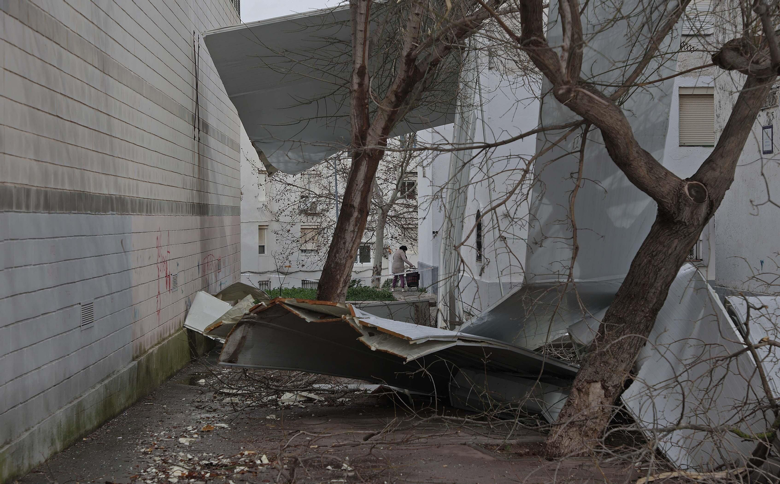 Fotos de los daños del temporal Karlotta en Algeciras