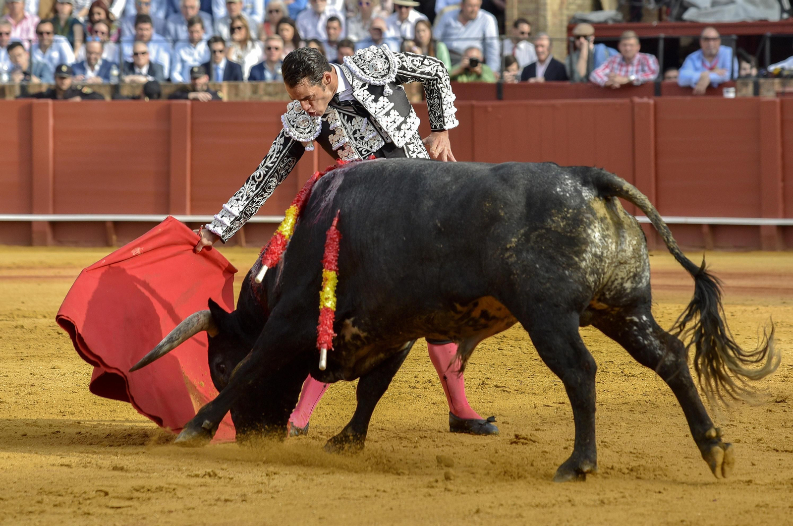 Las imágenes de la 14ª de abono de la Maestranza