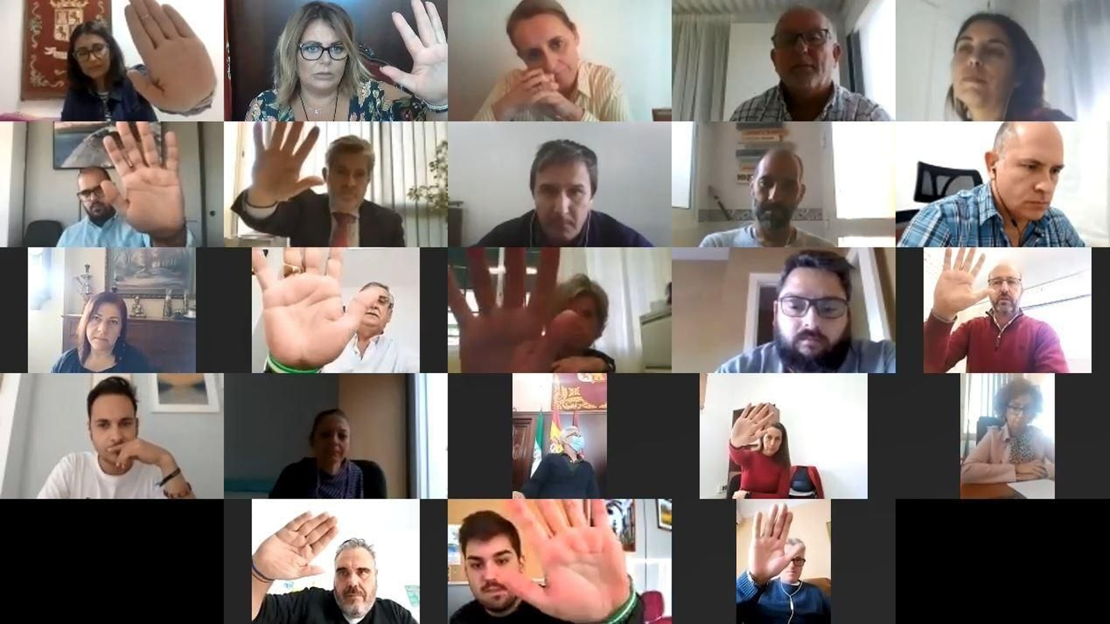 Aprobación de la subida del IBI en un pleno telemático