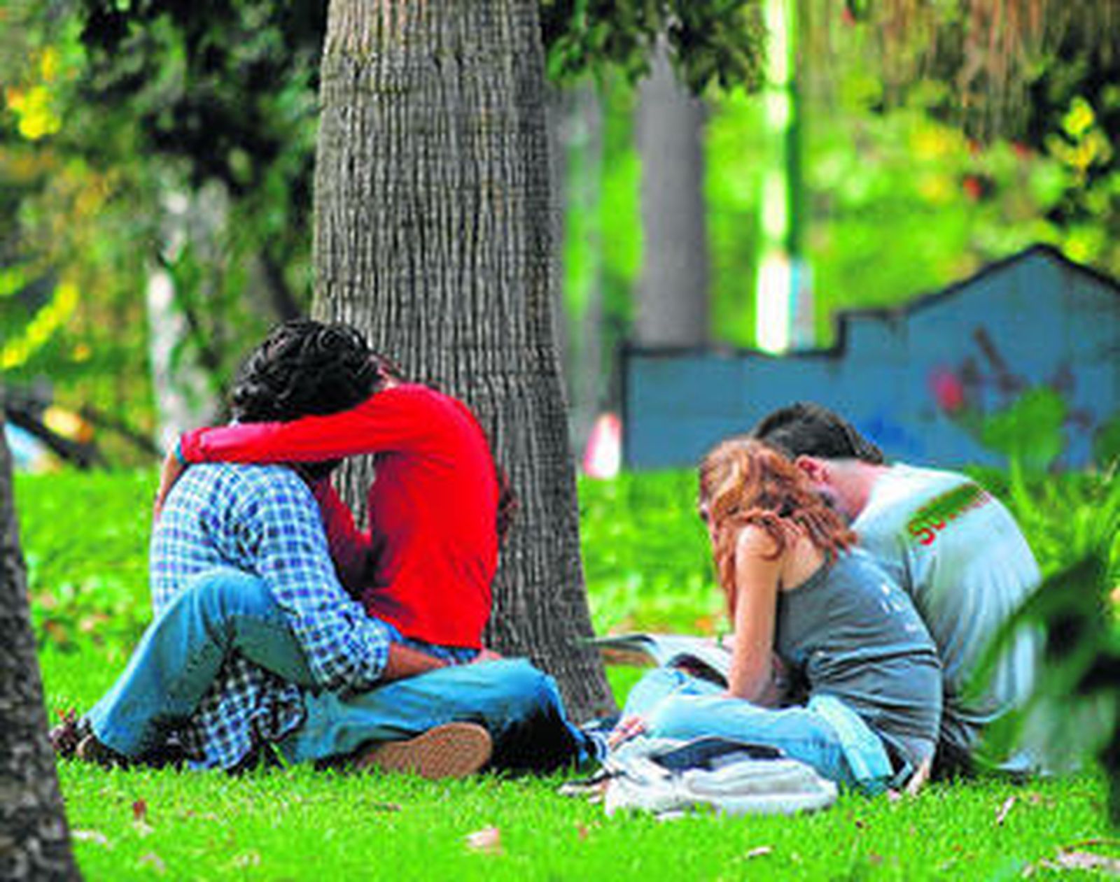 Dos parejas comparten un momento de ocio en un parque.