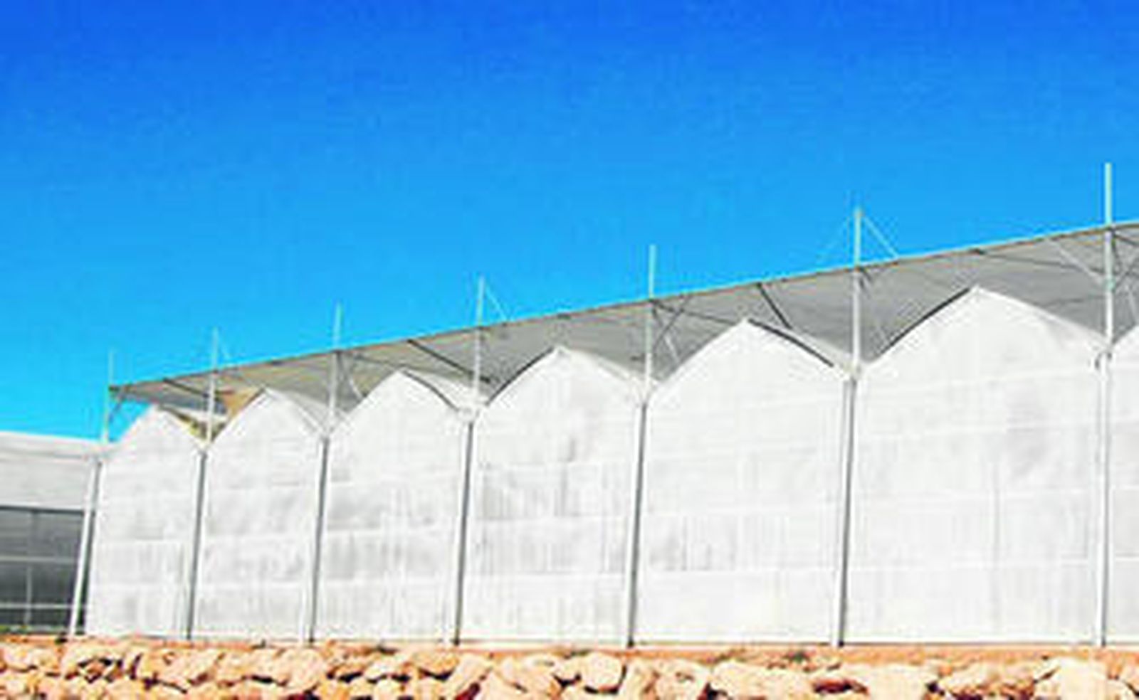 Tecnova ha creado el tipo de invernadero llamado Humidex, un proyecto en el que participan cinco empresas del sector.