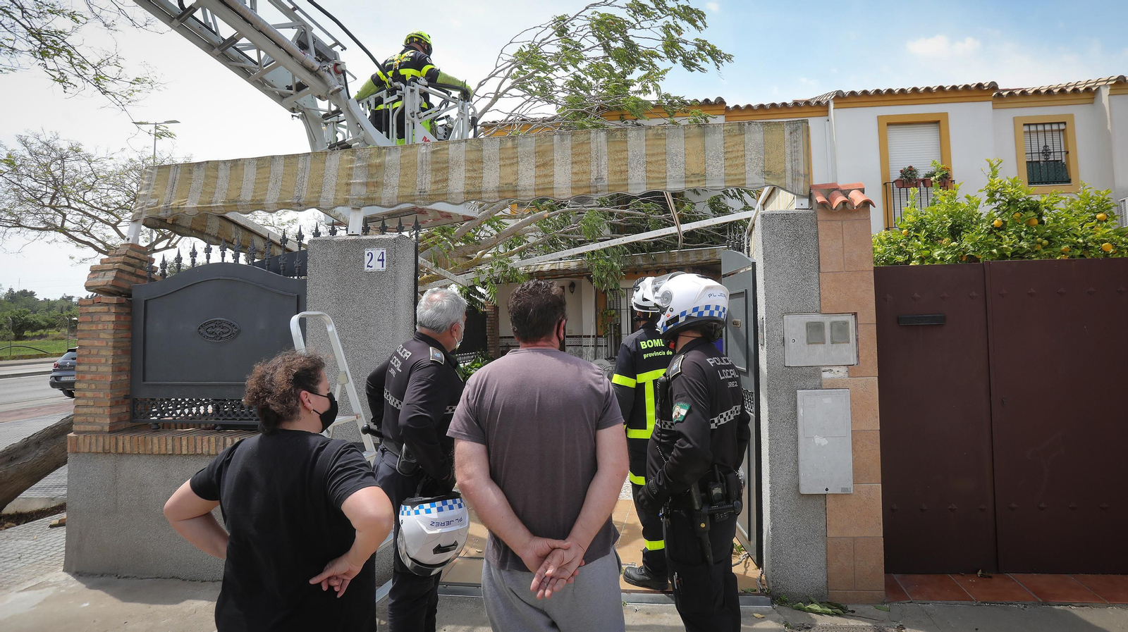 Cae un árbol en una casa por el fuerte temporal de viento que azota Jerez