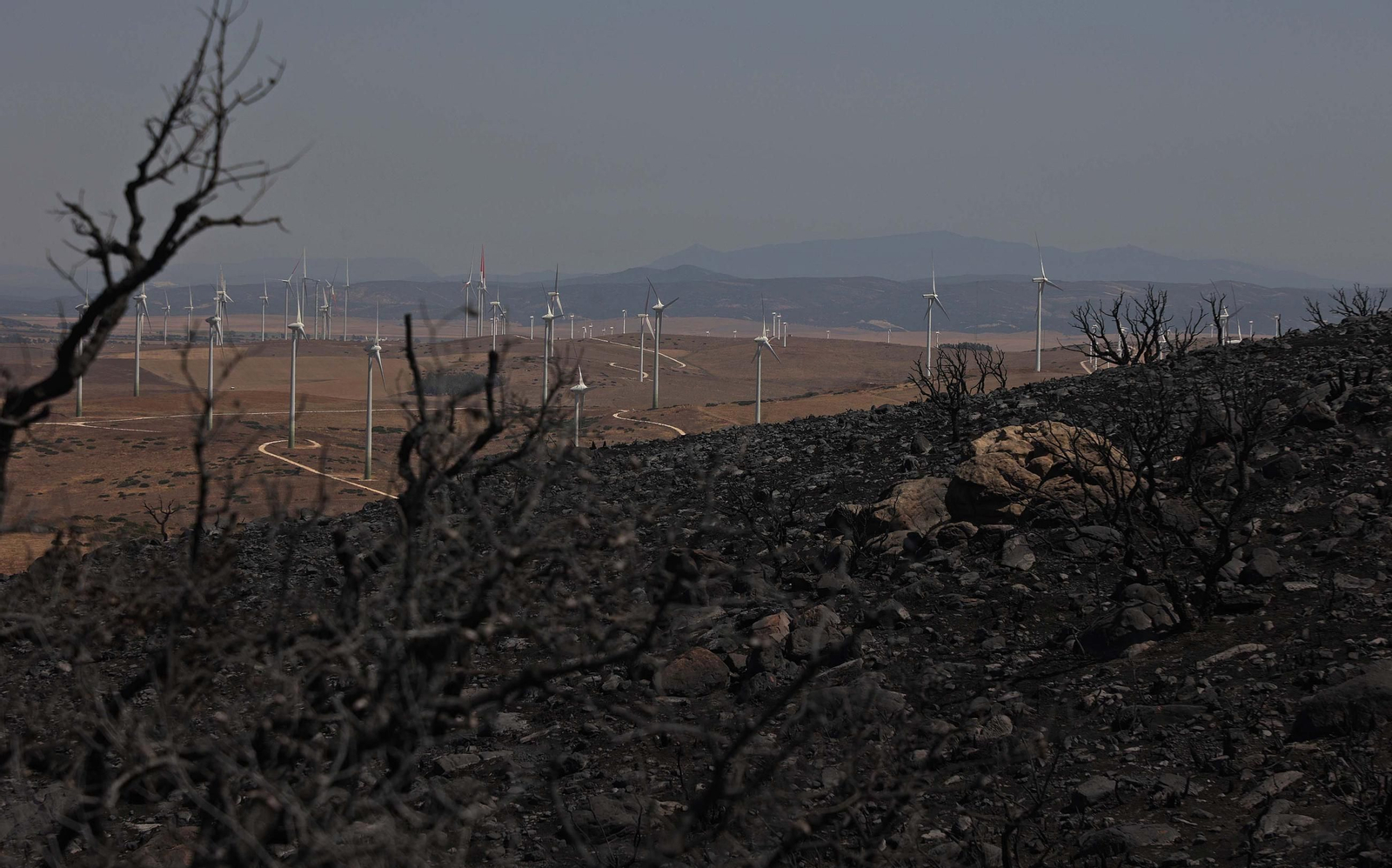 Así han quedado Atlanterra y Zahara de los Atunes tras el incendio forestal en la Sierra de la Plata de Tarifa