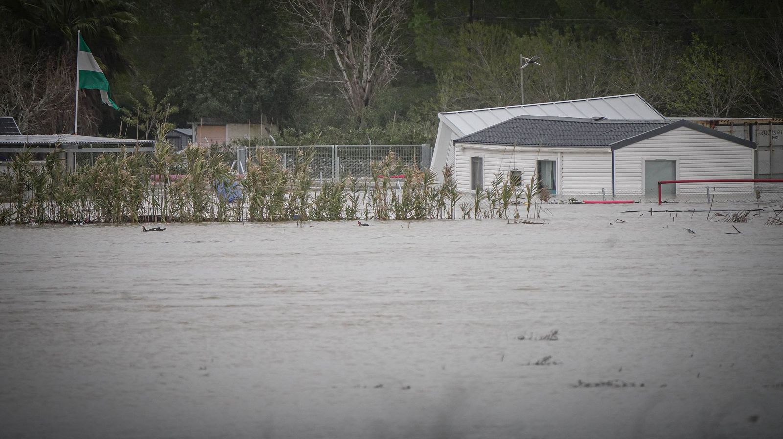 Imágenes de las zonas afectadas por la crecida del rio Guadalete en Jerez