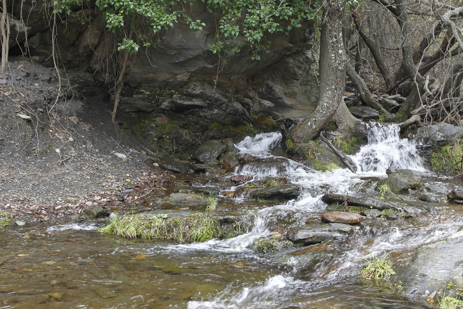 Naturaleza desconfinada. La Roza (Abrucena)