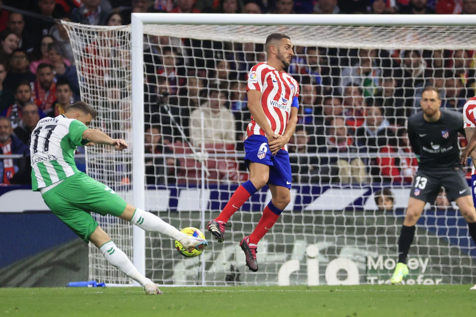 Las fotos del Atlético Madrid - Betis