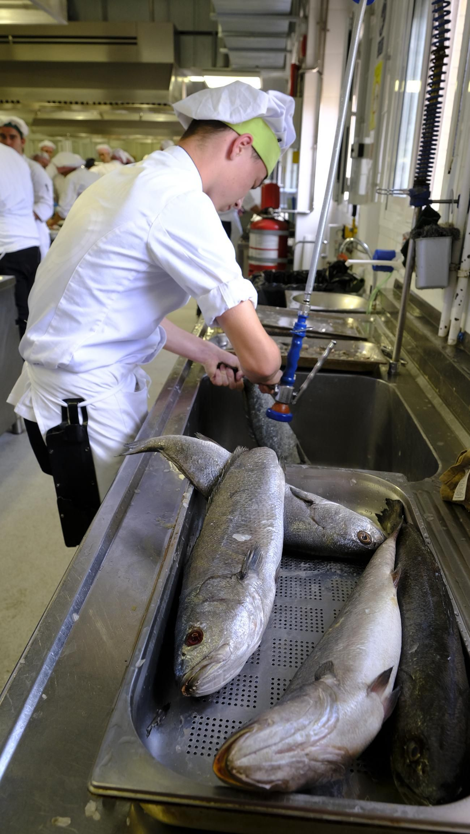 Imágenes de la Escuela de Hostelería de Almería, un referente en la enseñanza gastronómica